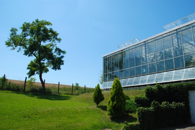 Mechanical Engineer, HUNGARY