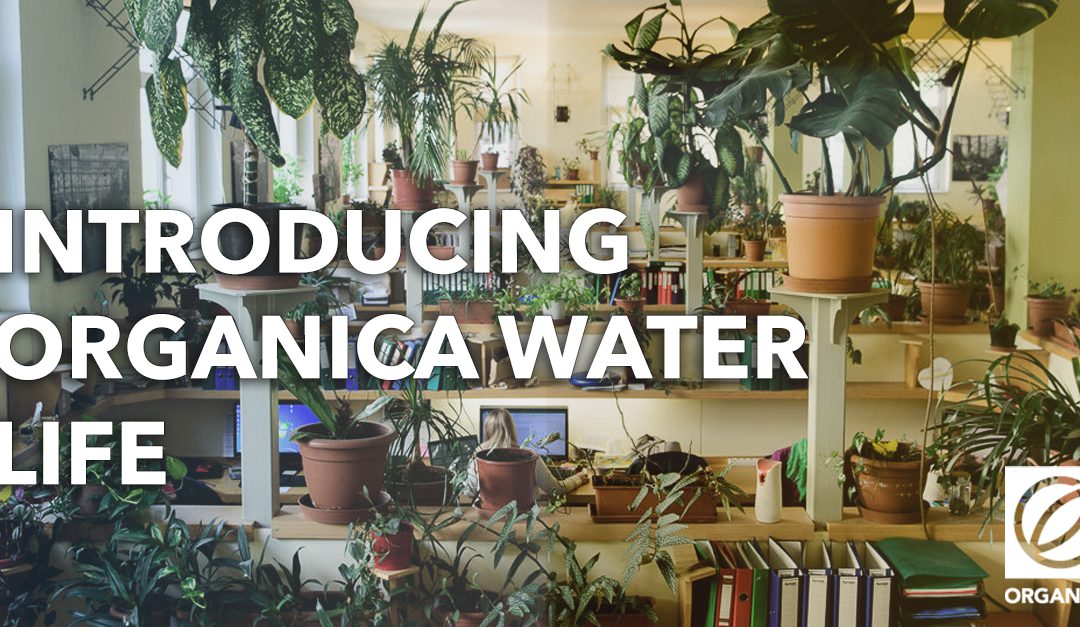 Introducing “Organica Water Life”