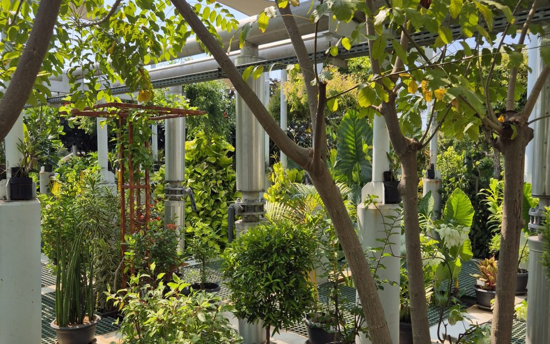 Project Engineer, EGYPT