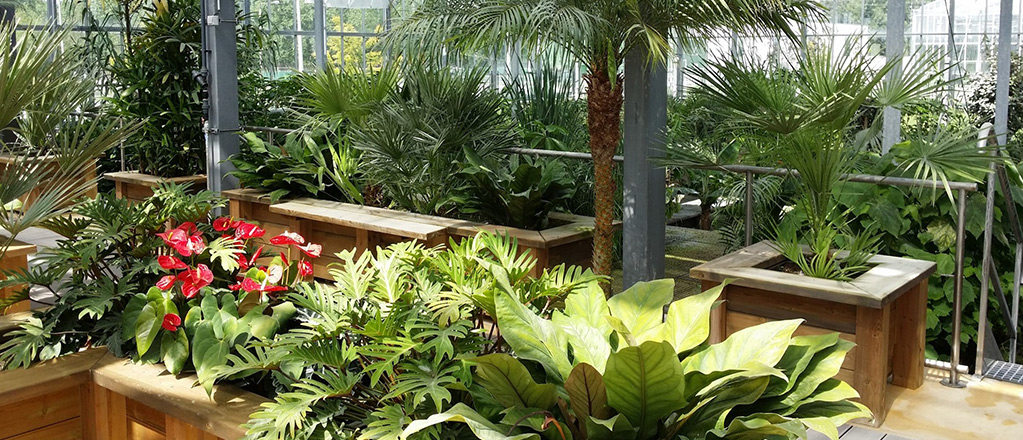 Plant Manager, INDIA